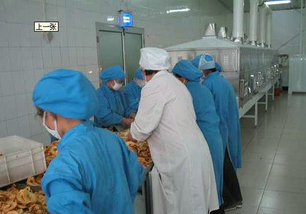 邢台傳洋食品廠選擇麻豆APP在线观看幹燥設備