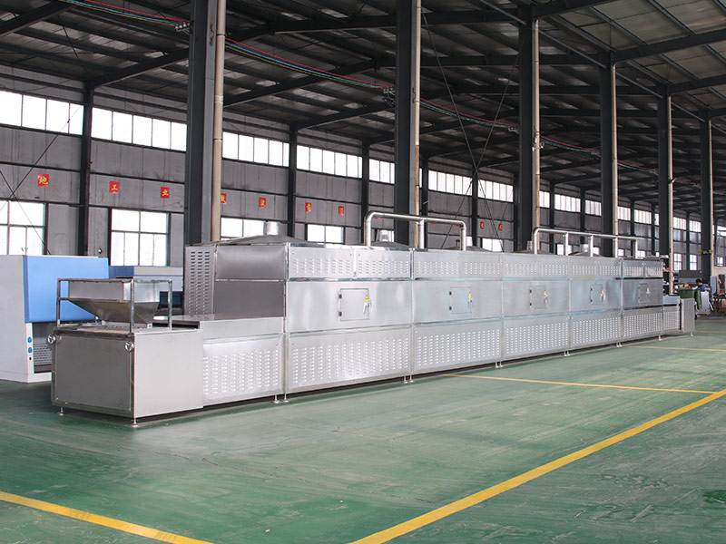 麻豆APP在线观看蔬菜脫水烘幹設備