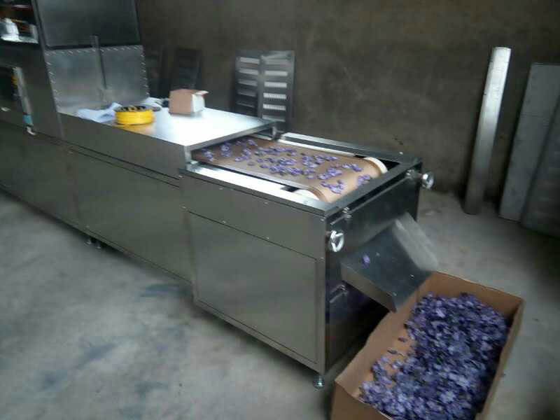 藥草香料麻豆APP在线观看幹燥殺菌設備